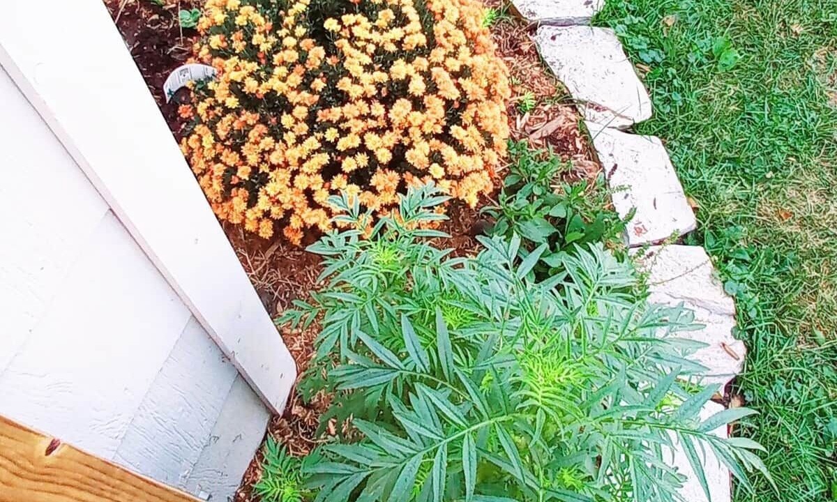 Photo of Outdoor in Ames