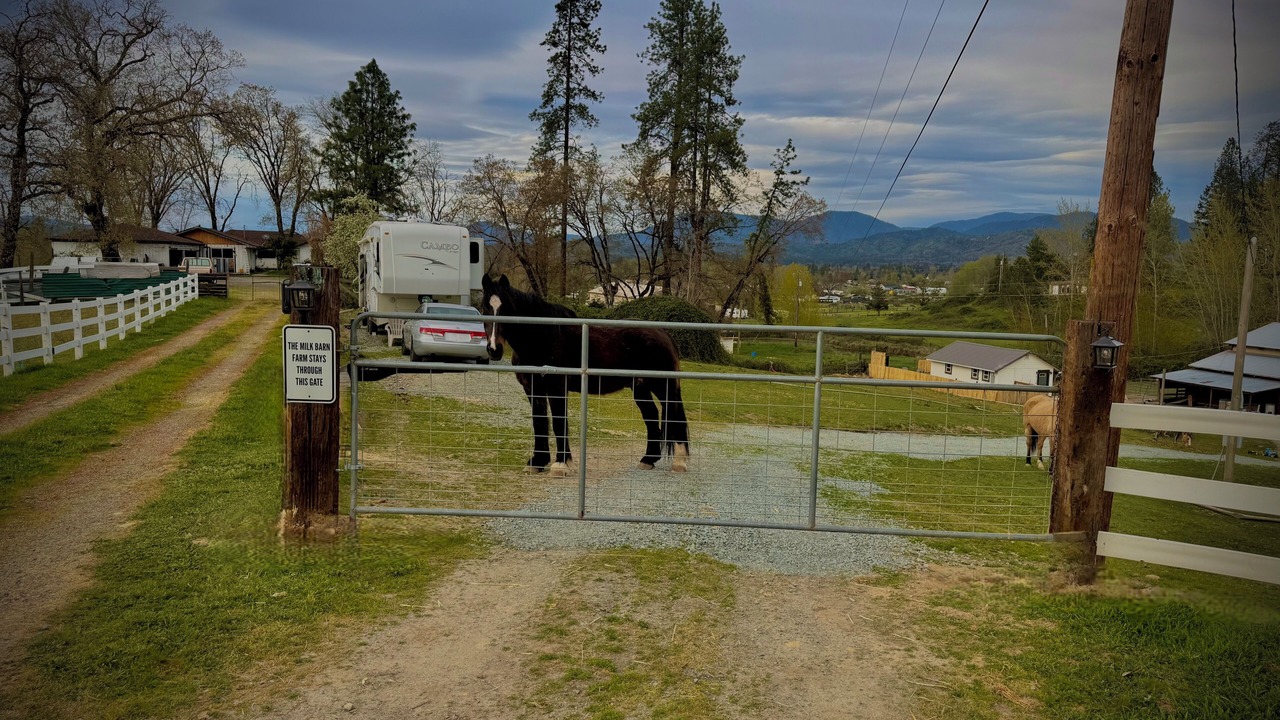 Photo of Others in Redwood