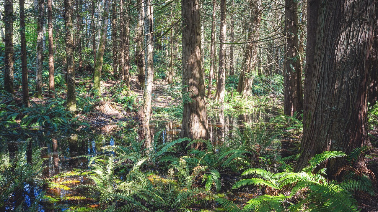 Photo of Others in Port Angeles