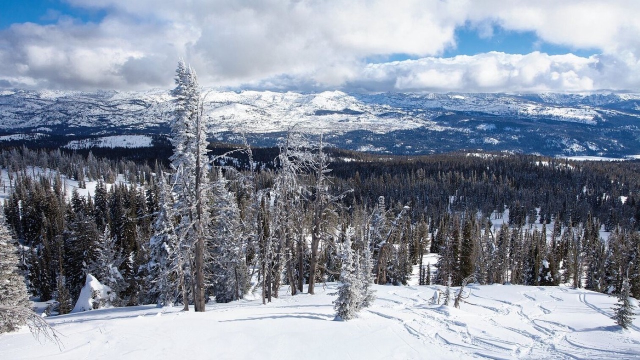 Photo of Others in McCall