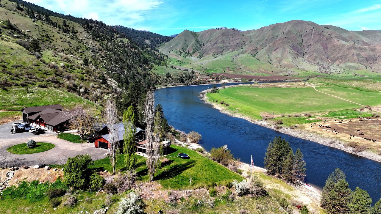Photo of Outdoor in White Bird