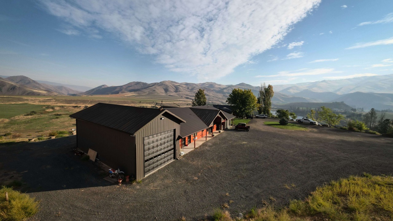 Photo of Outdoor in White Bird