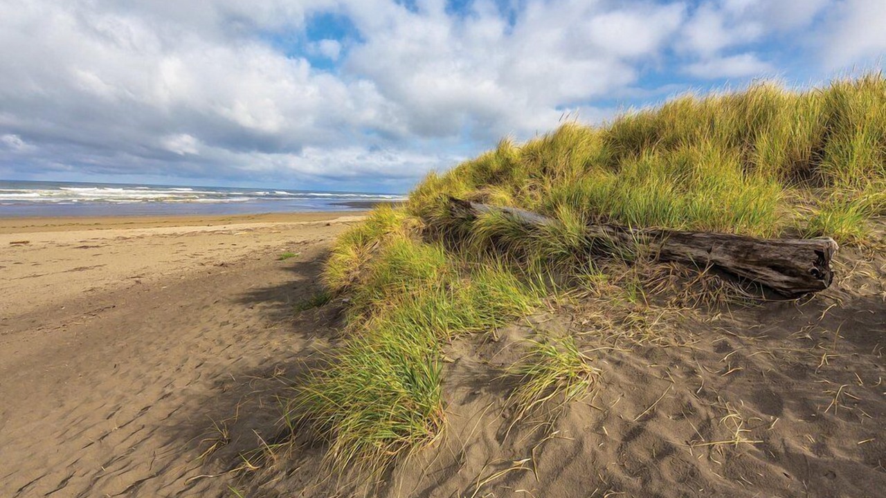 Photo of Others in Ocean Shores