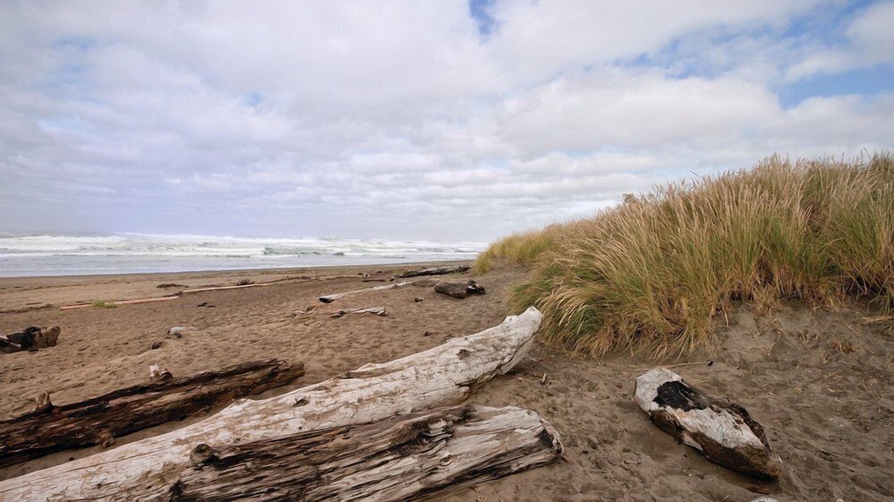 Photo of Others in Ocean Shores