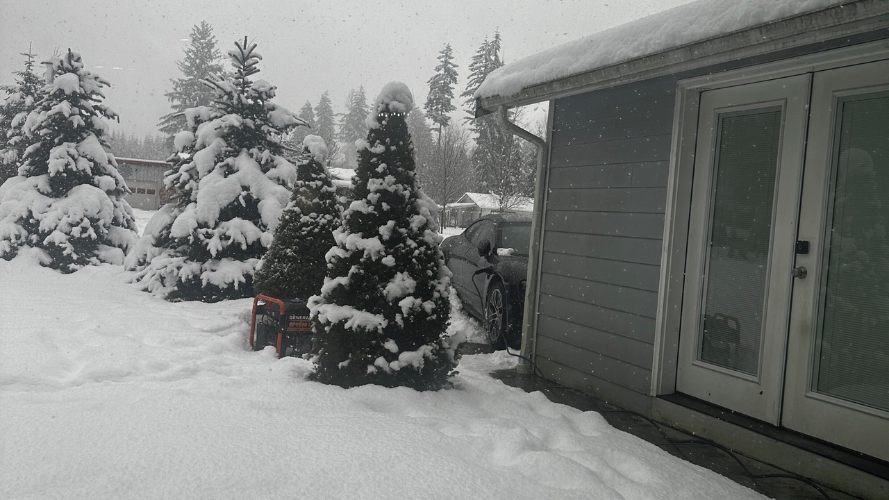 Photo of Outdoor in Forks