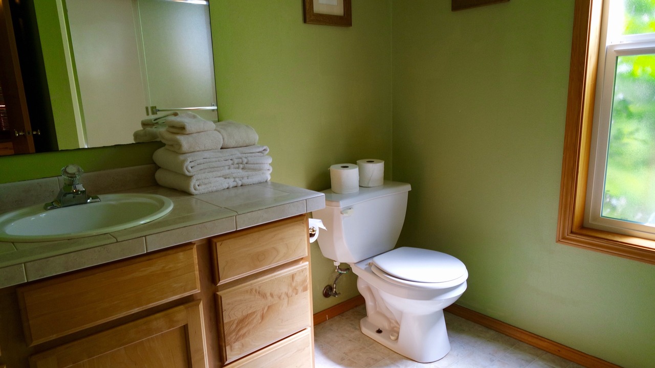 Photo of Bathroom in Olga