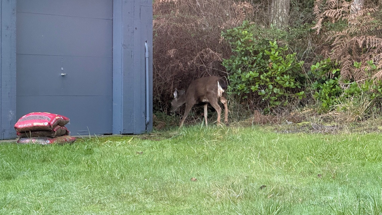 Photo of Outdoor in Friday Harbor