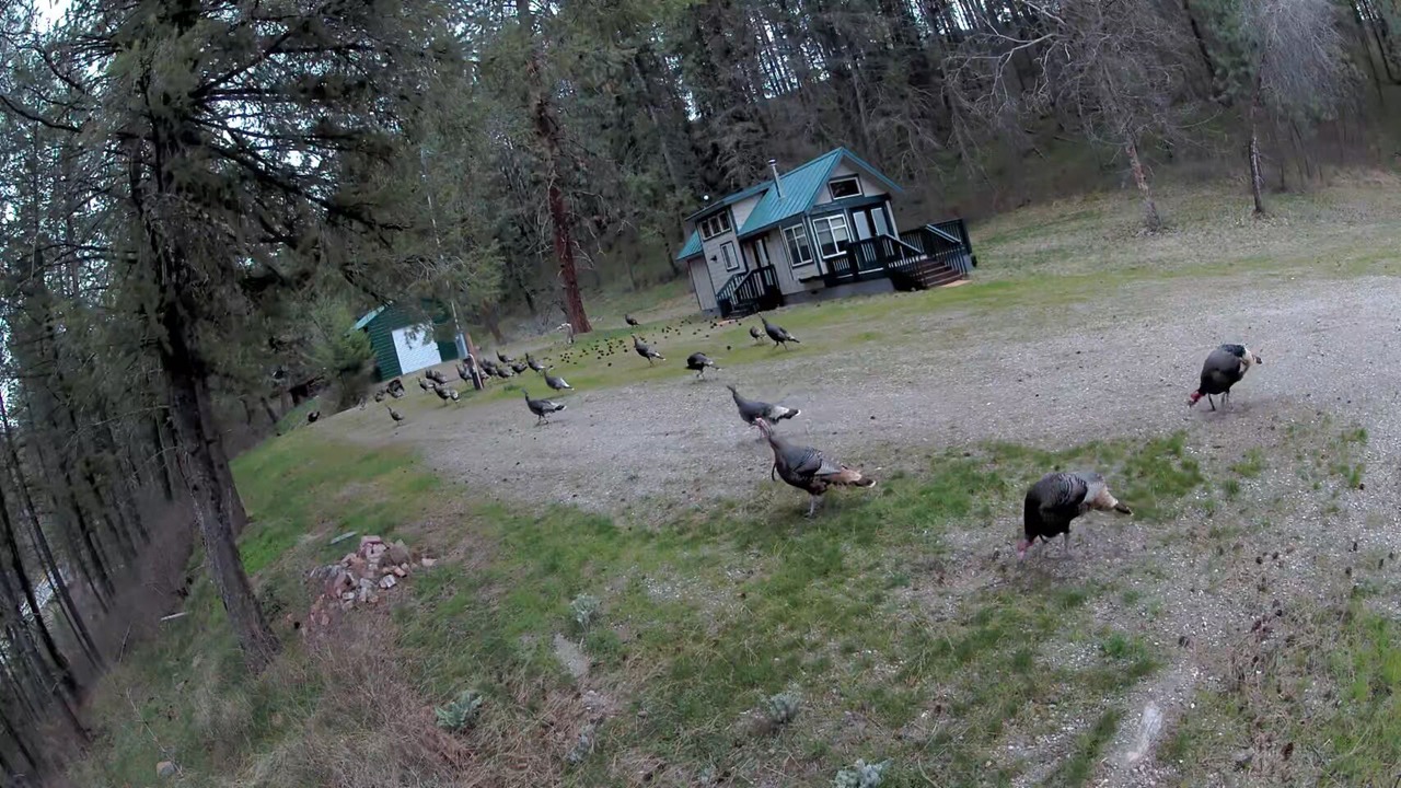 Photo of Others in Stevens County
