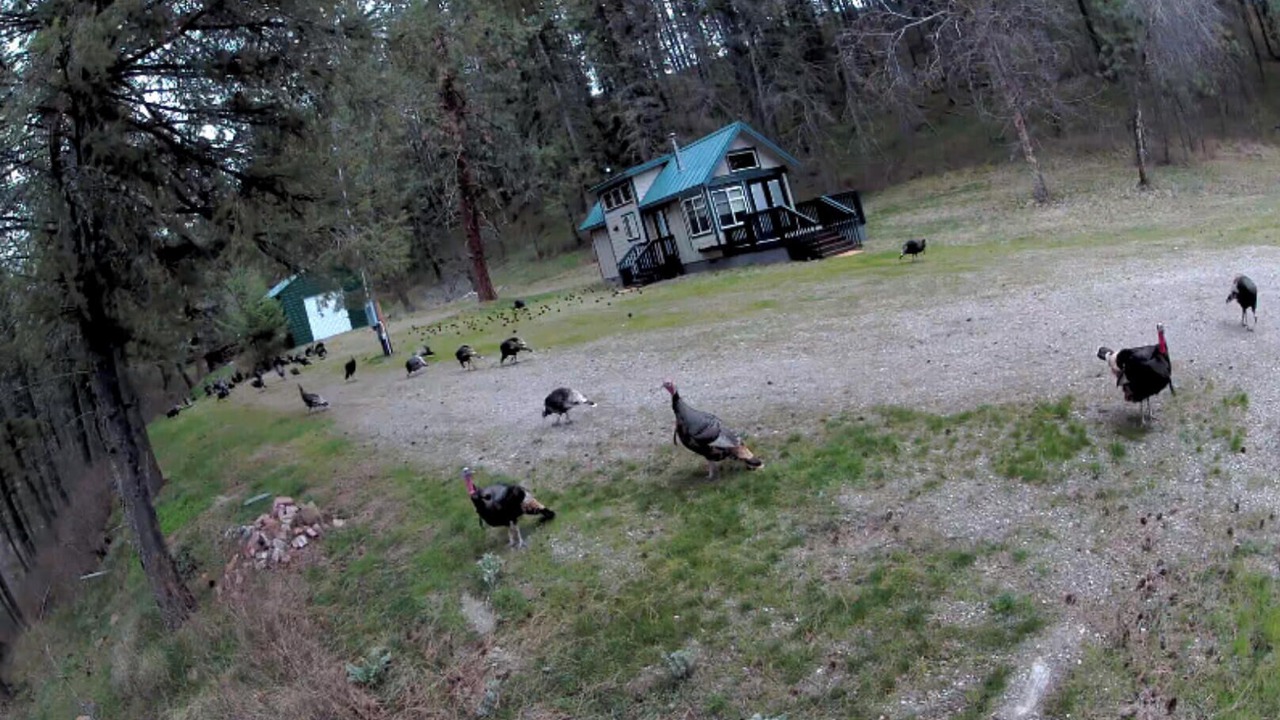 Photo of Others in Stevens County