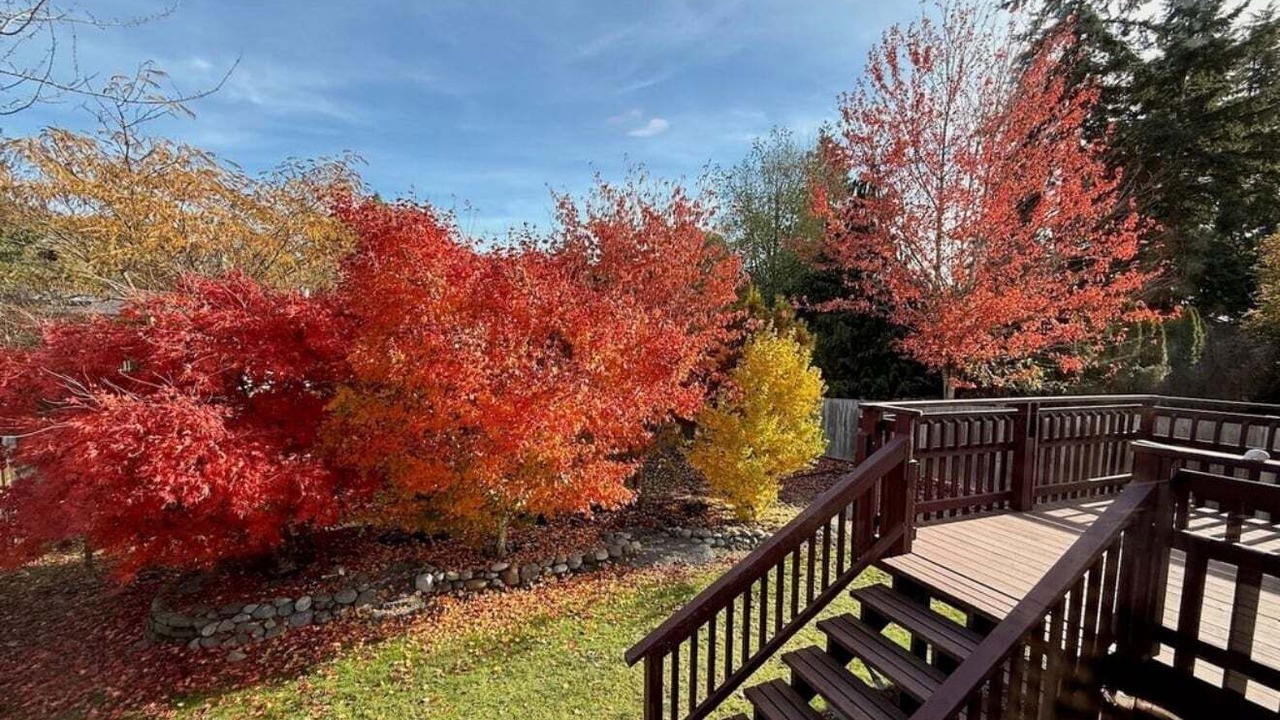 Photo of Outdoor in Riverview