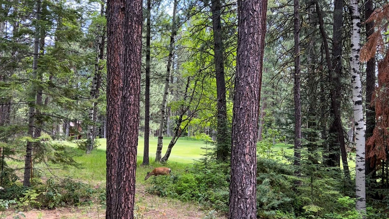 Photo of Others in Black Butte Ranch