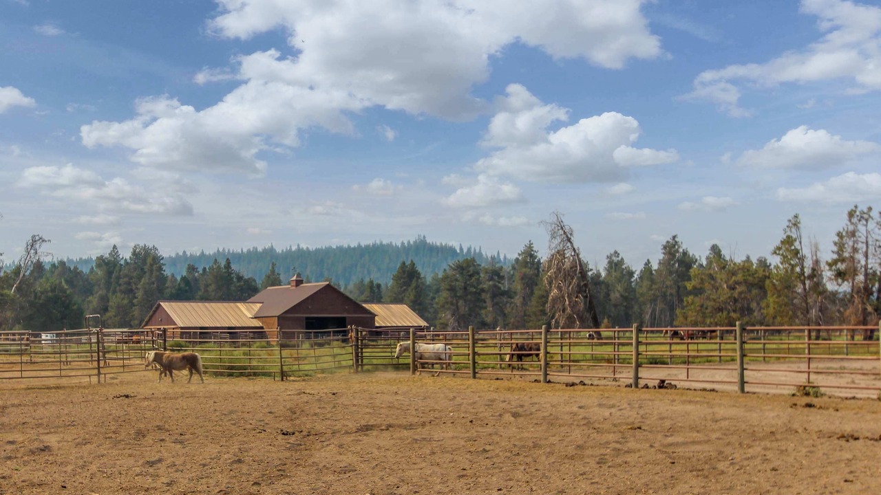 Photo of Others in Sunriver