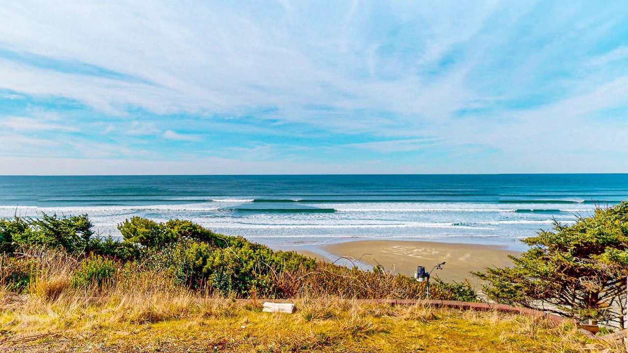 Photo of Others in Newport
