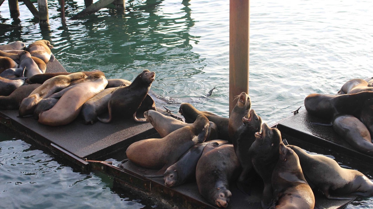 Photo of Others in Historic Bayfront
