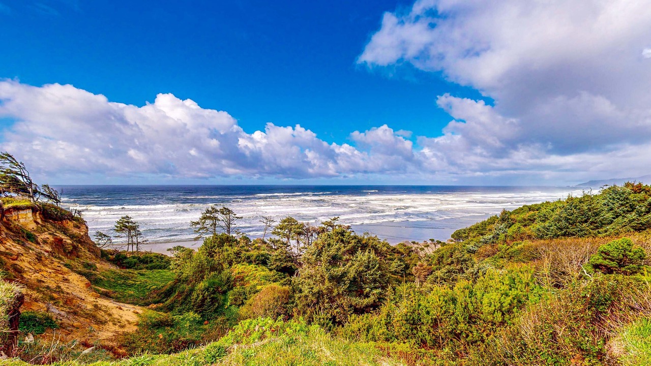 Photo of Others in Agate Beach