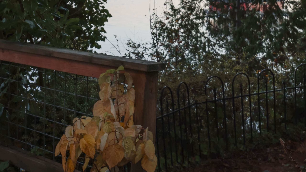 Photo of Outdoor in Coupeville