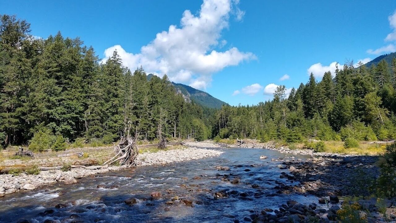 Photo of Others in Packwood