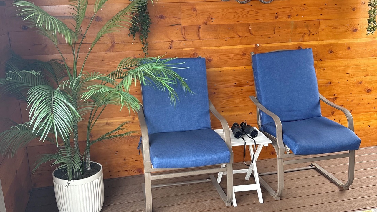 Photo of Outdoor in White Bird