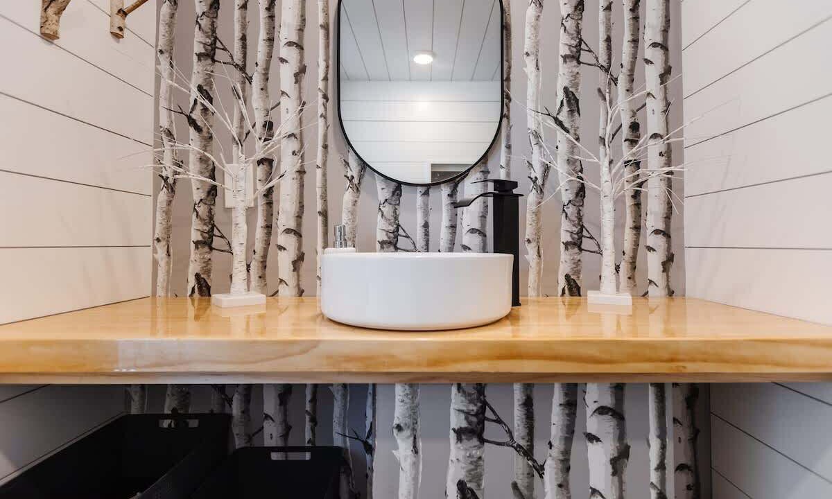 Photo of Bathroom in Apple Valley