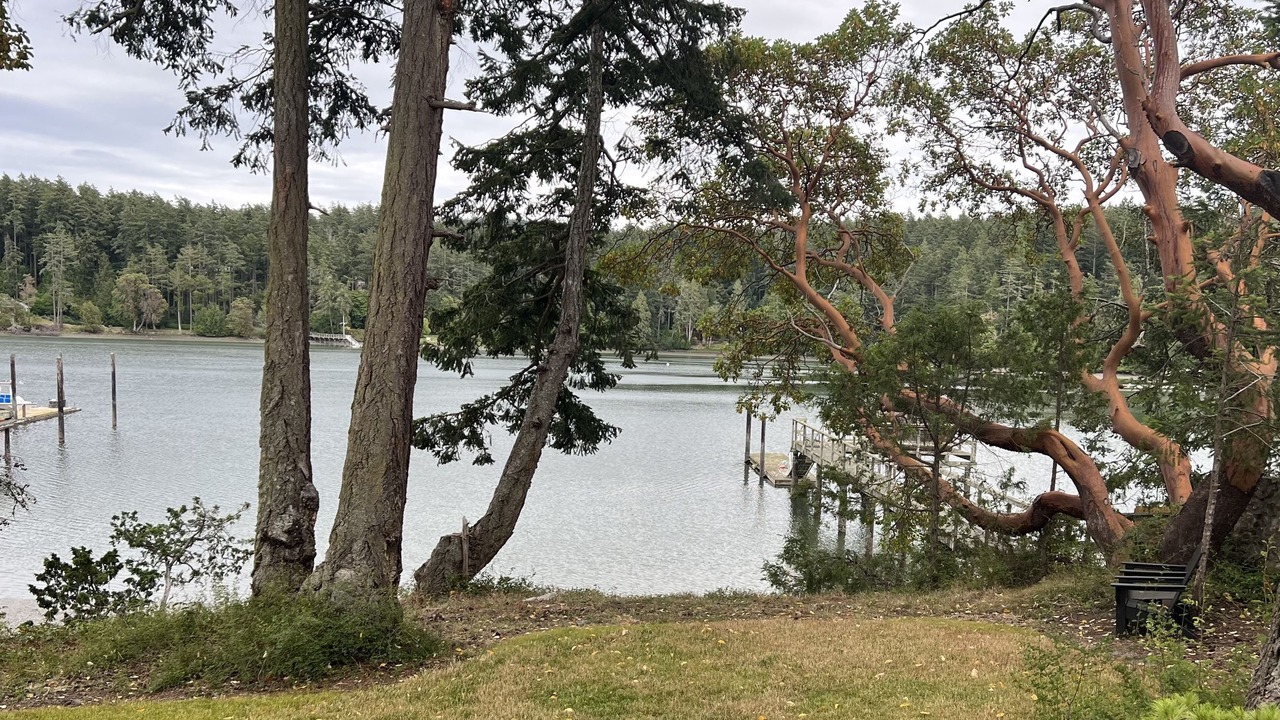 Photo of Others in Friday Harbor