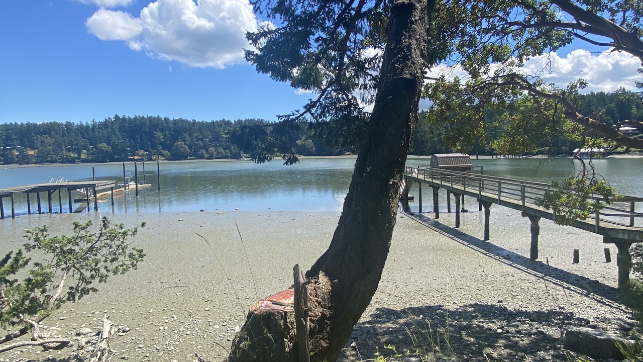 Photo of Others in Friday Harbor