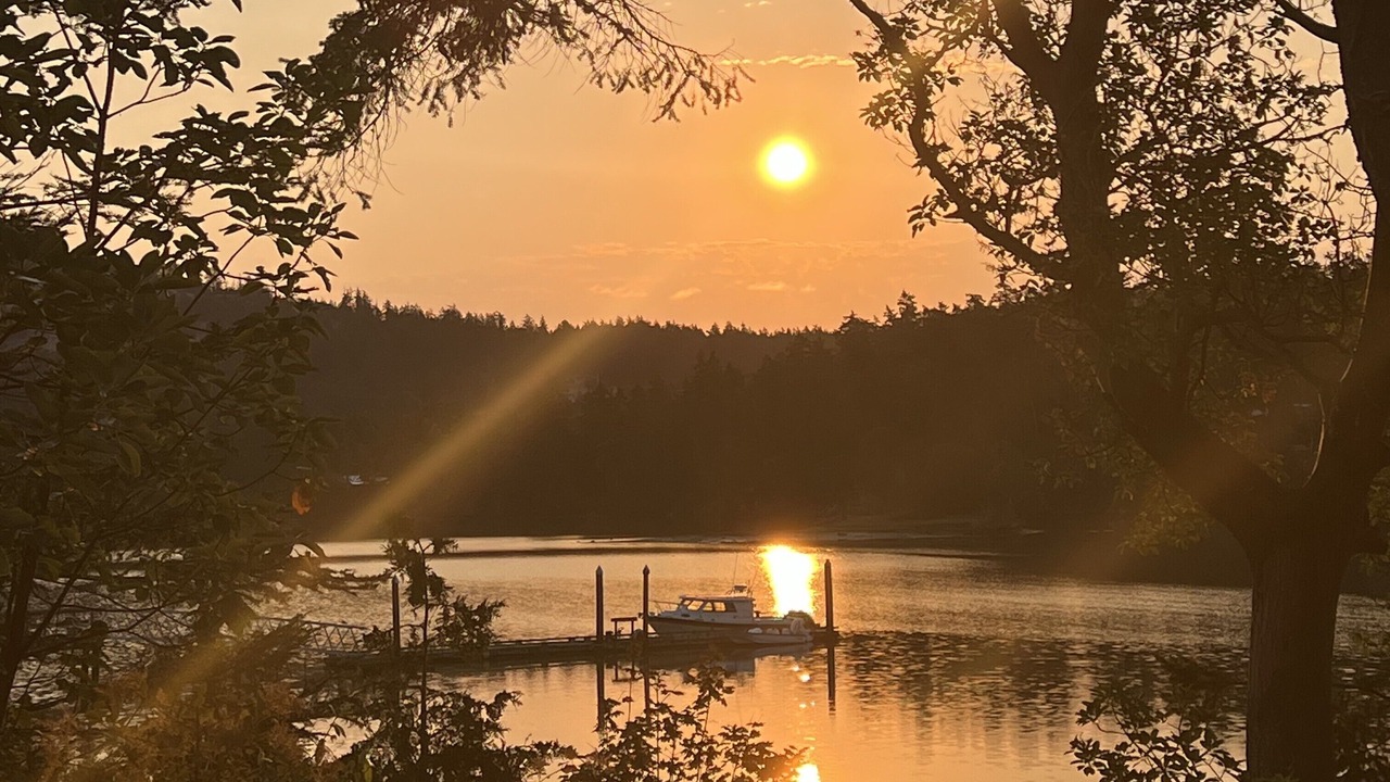 Photo of Others in Friday Harbor