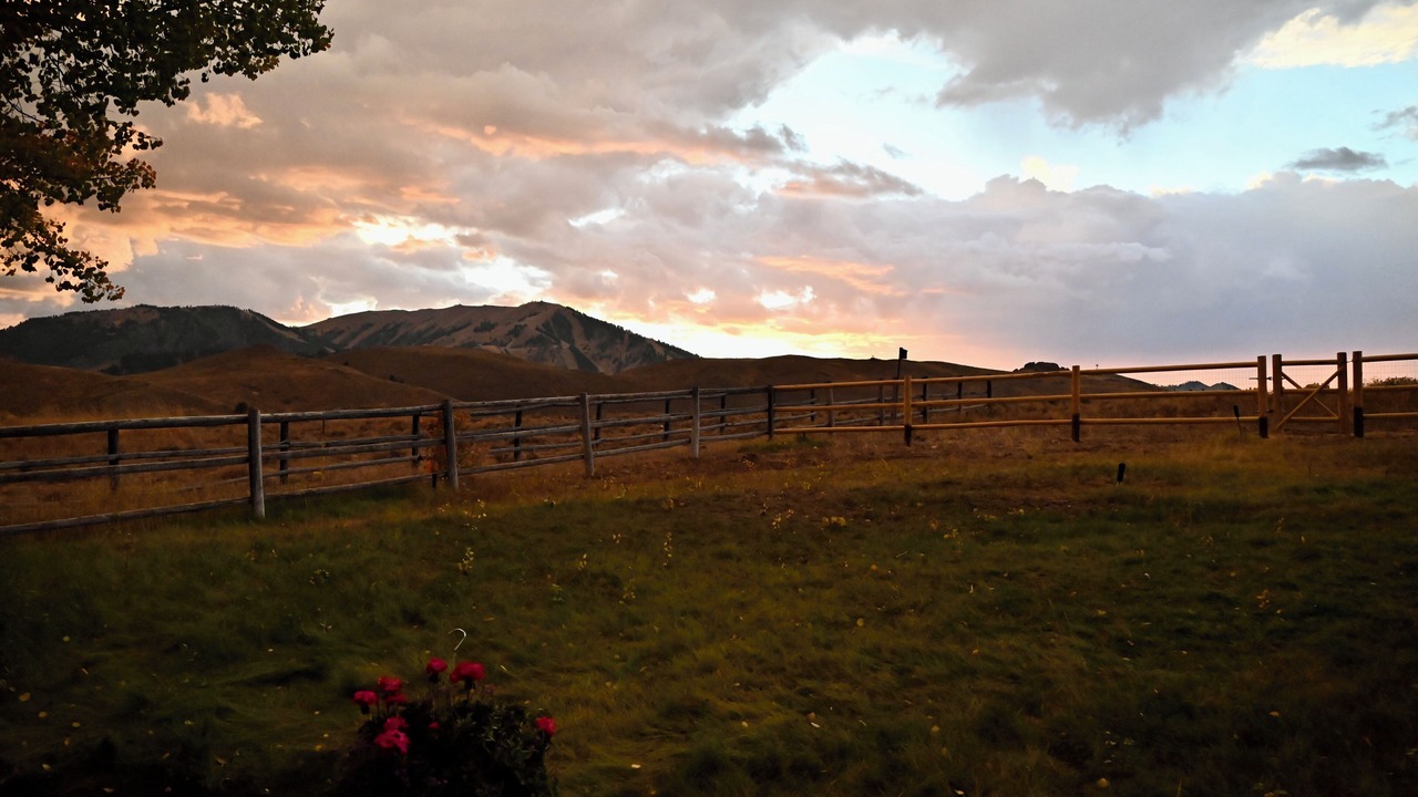 Photo of Outdoor in Elkhorn Village