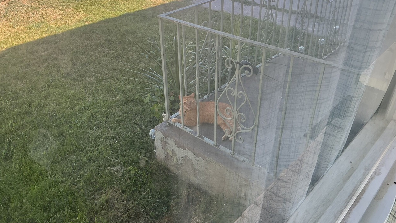 Photo of Outdoor in Twin Falls