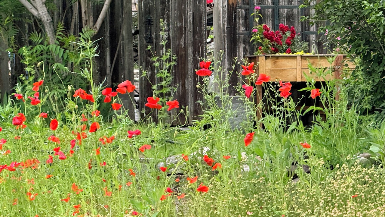 Photo of Outdoor in University District
