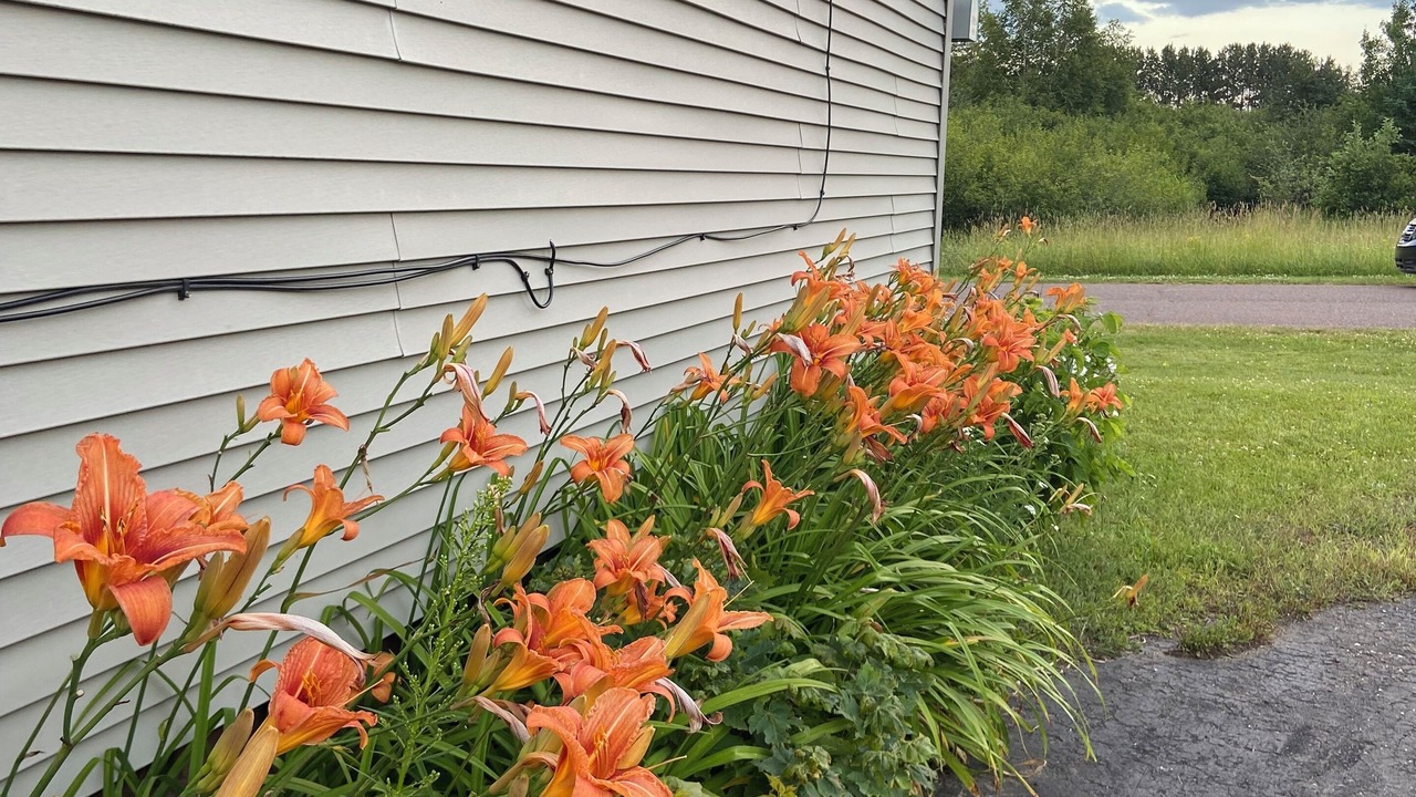 Photo of Outdoor in Laurium
