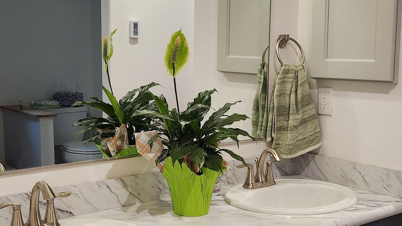 Photo of Bathroom in Carey Bay
