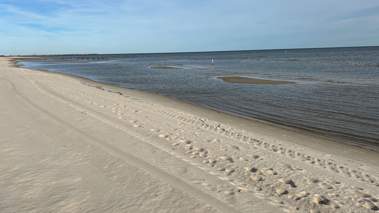 Photo of Others in Waveland