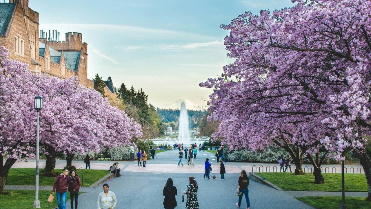 Photo of Others in Tukwila