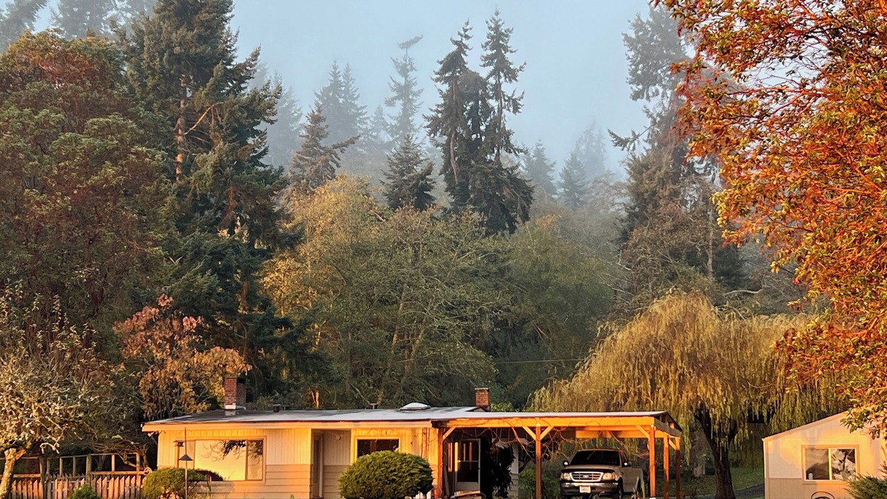 Photo of Outdoor in Greenbank