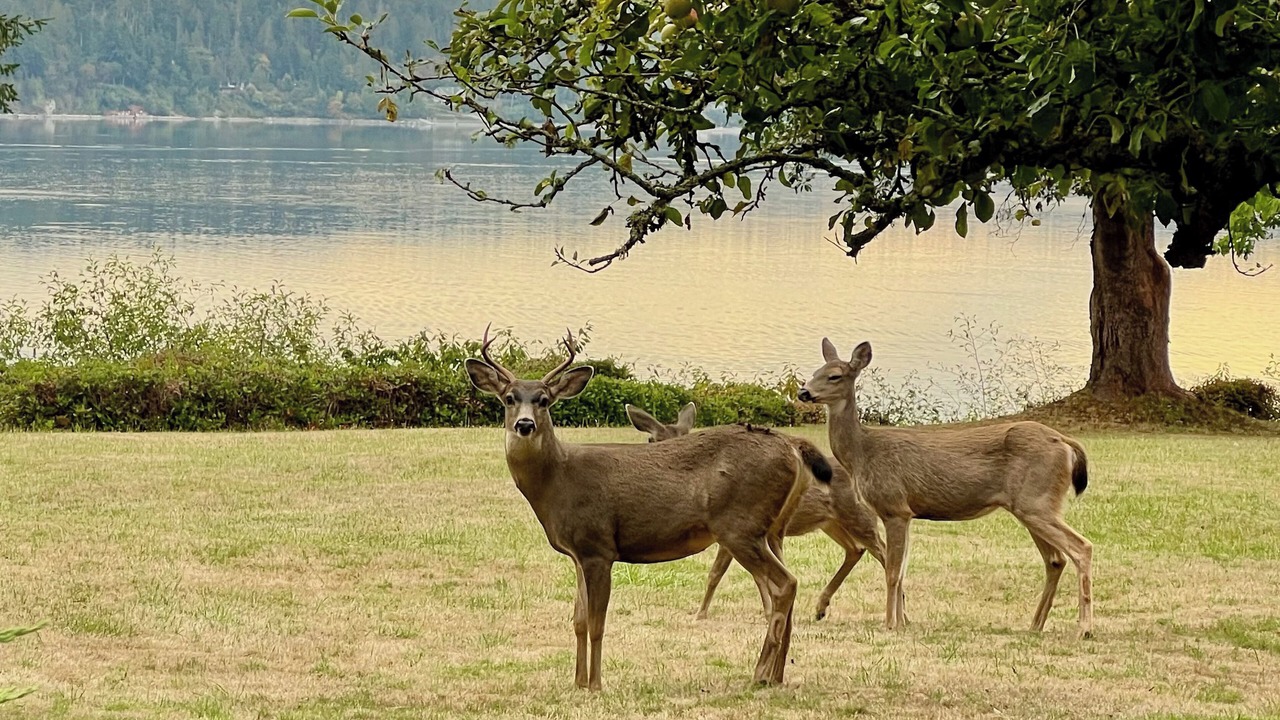 Photo of Others in Greenbank