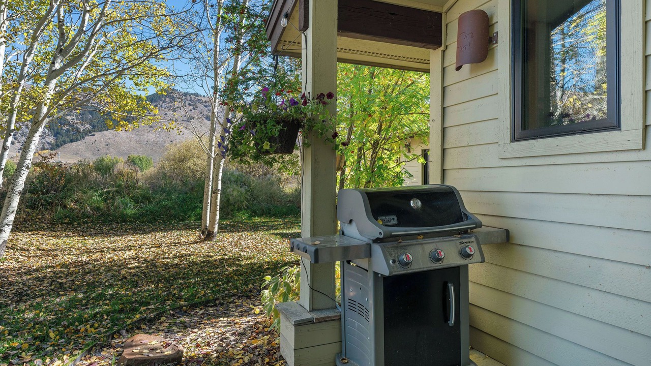Photo of Outdoor in Jackson