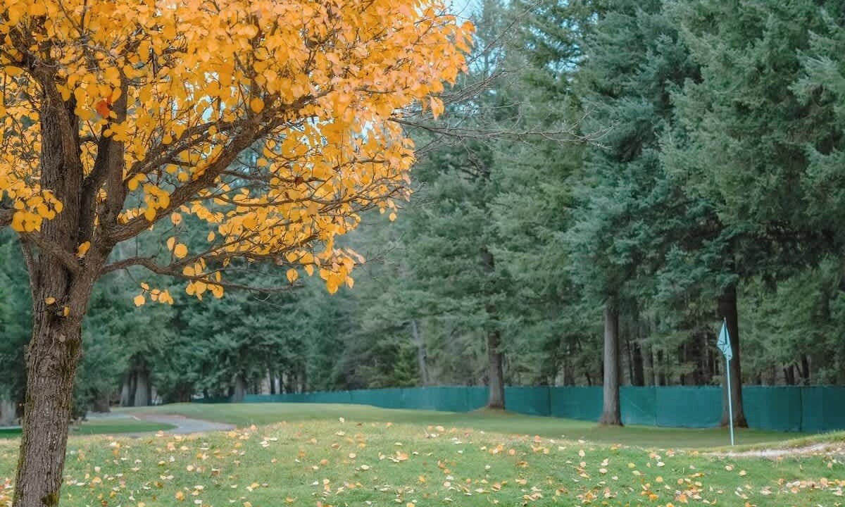 Photo of Outdoor in Rathdrum