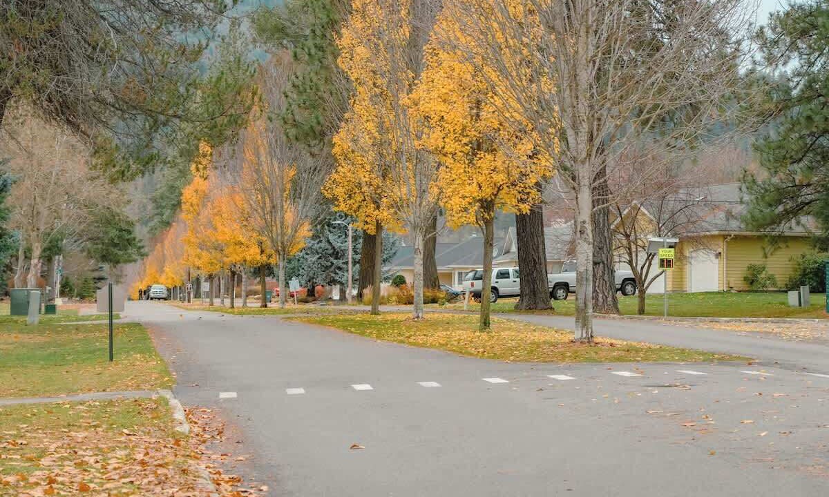 Photo of Outdoor in Rathdrum