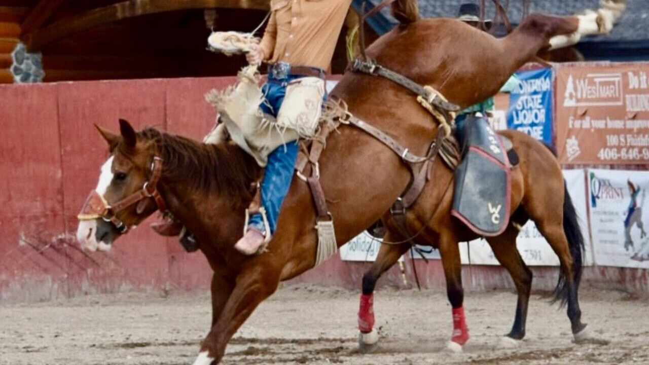 Photo of Others in West Yellowstone