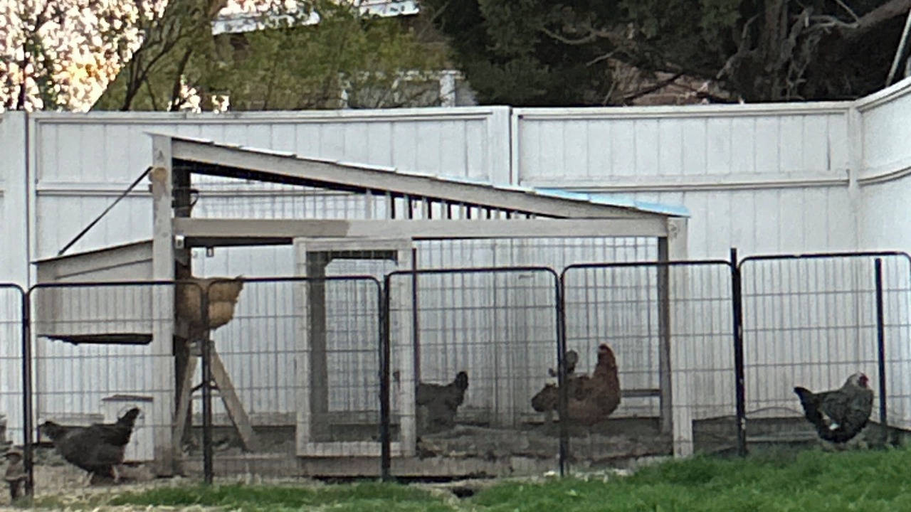 Photo of Others in Rose Park