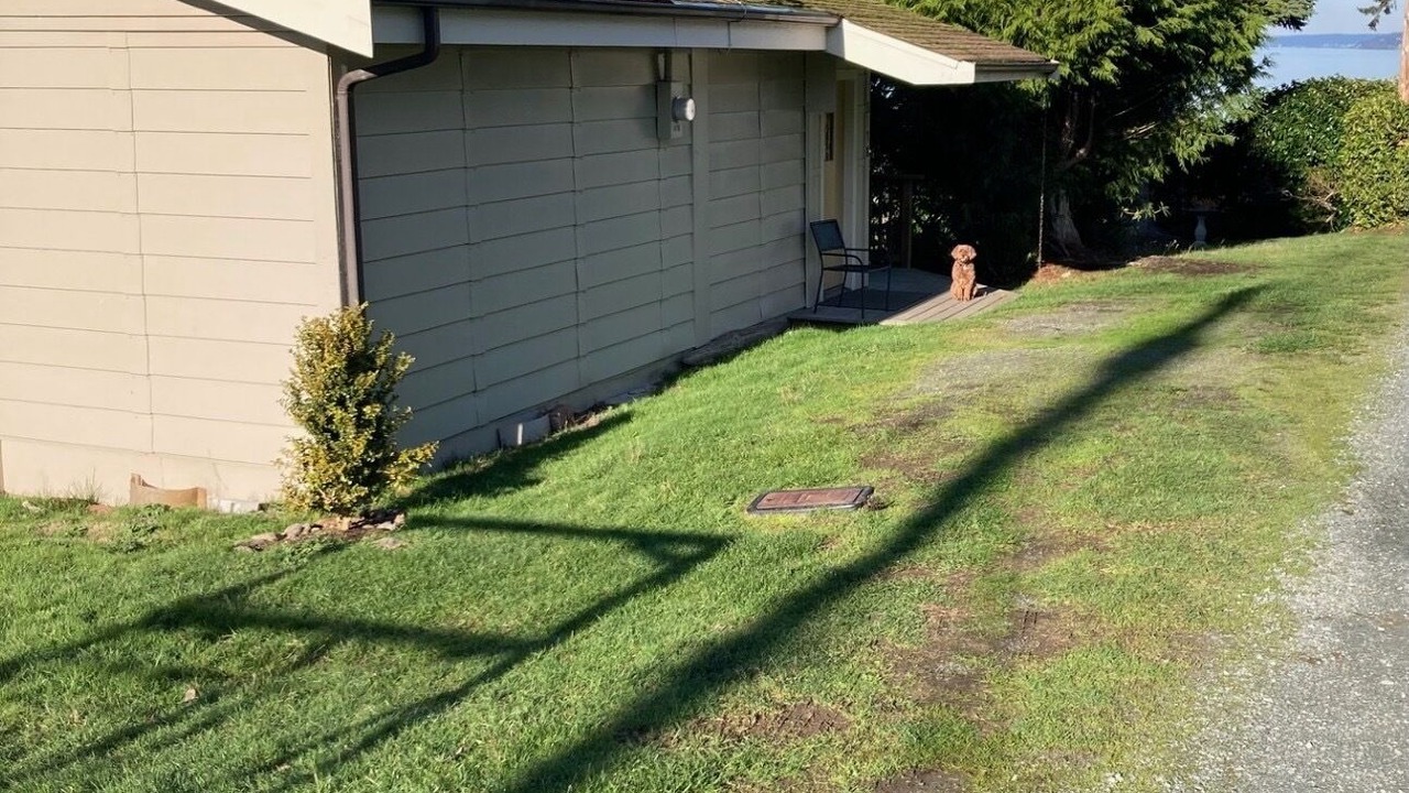 Photo of Outdoor in Langley