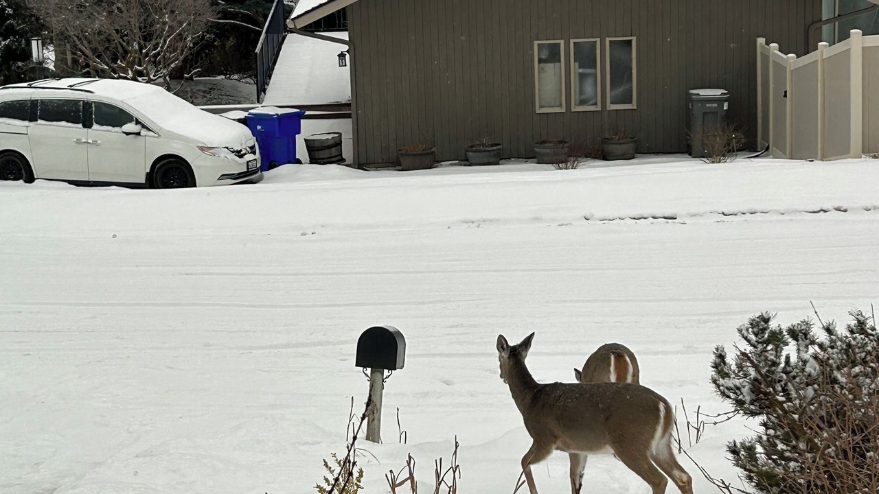 Photo of Outdoor in Moran Prairie