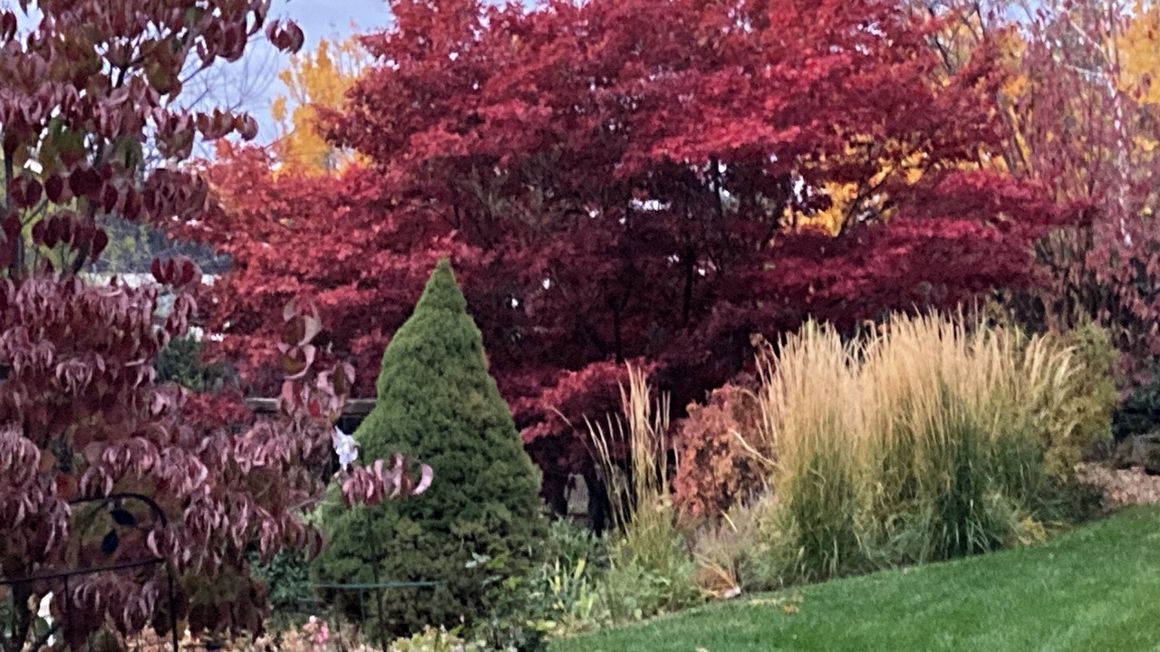 Photo of Outdoor in Moran Prairie