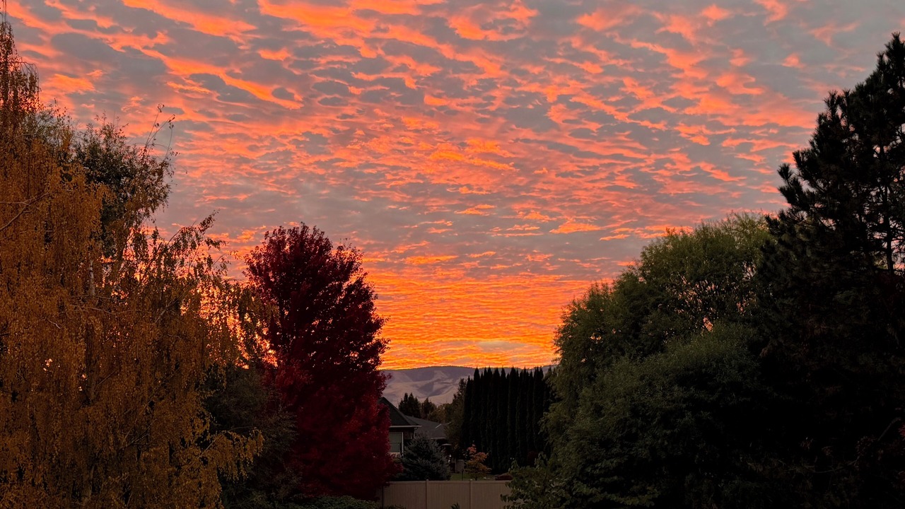 Photo of Others in Walla Walla East