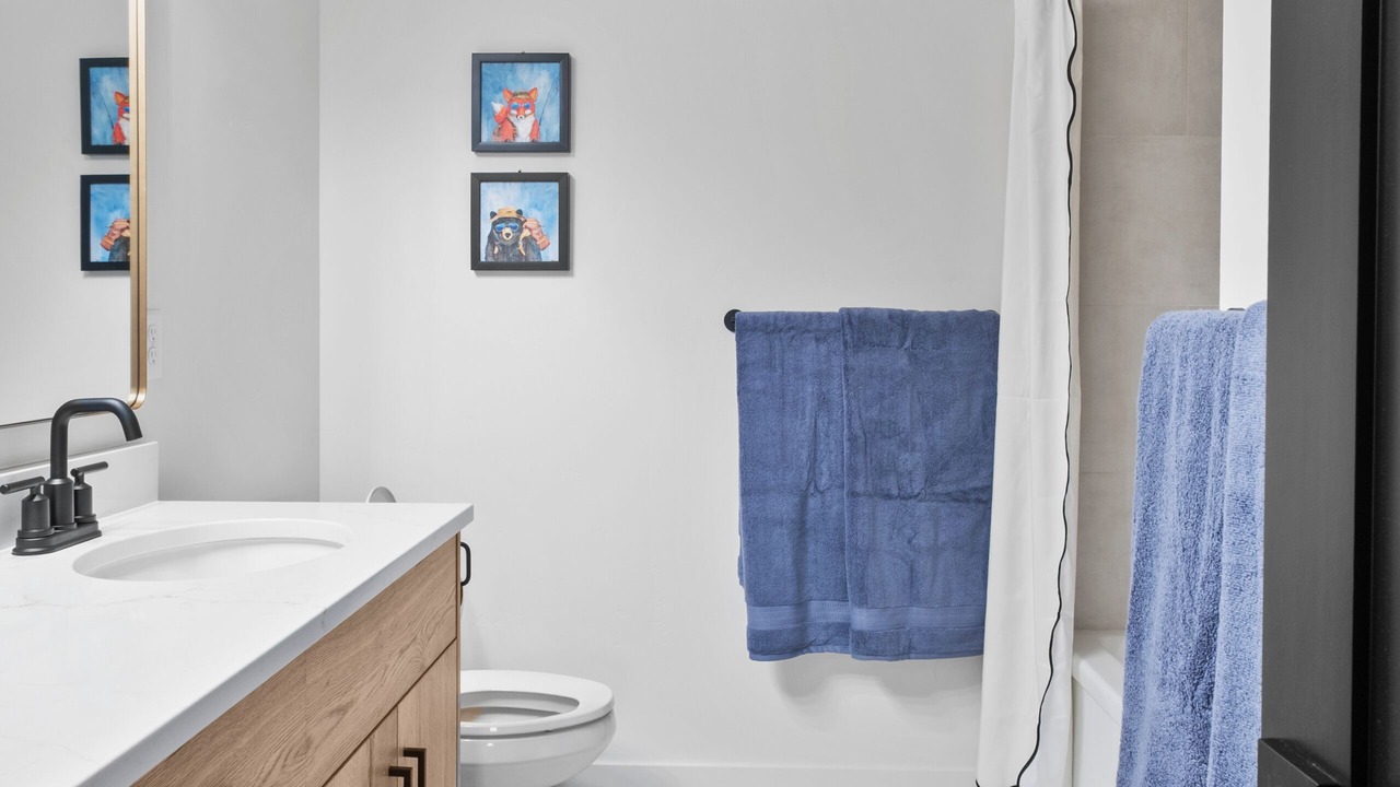 Photo of Bathroom in Driggs