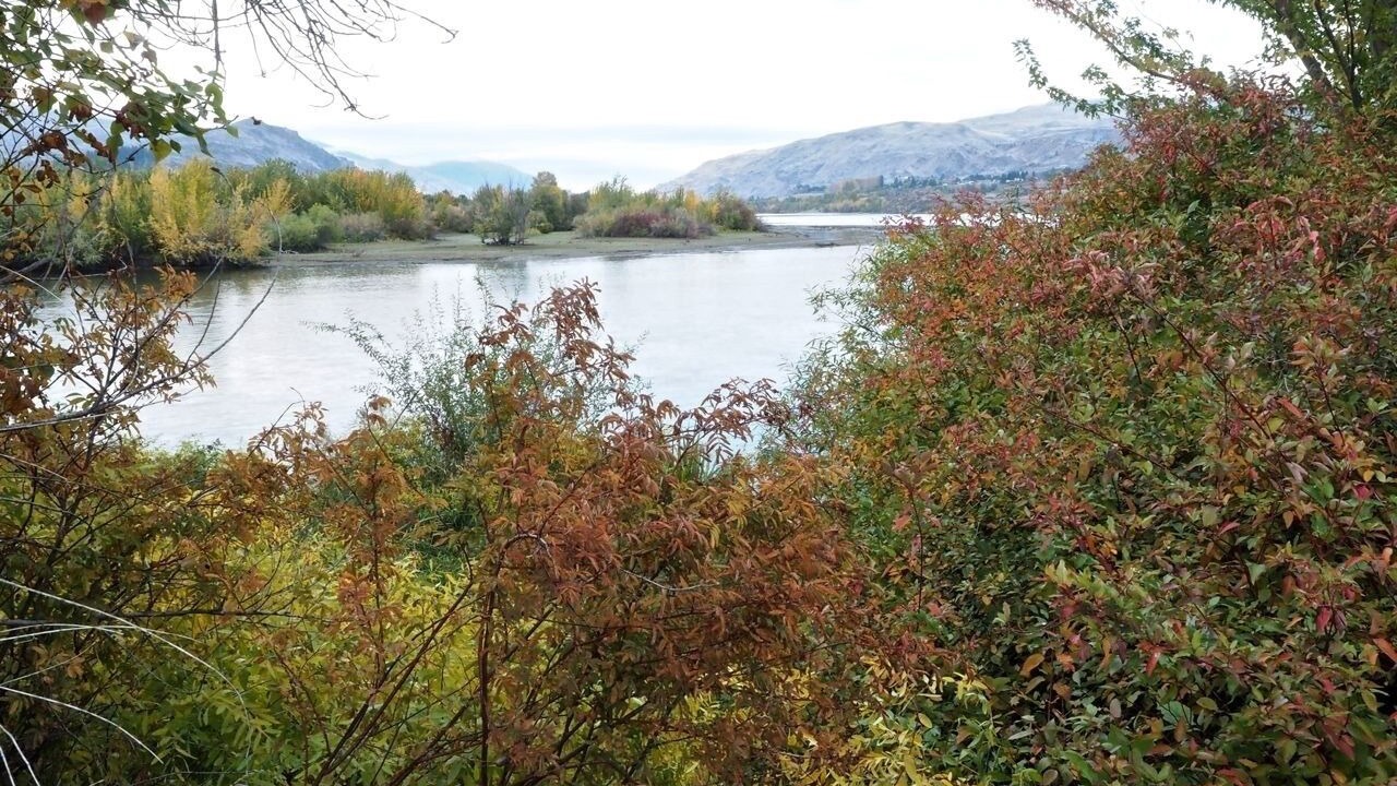 Photo of Others in Wenatchee