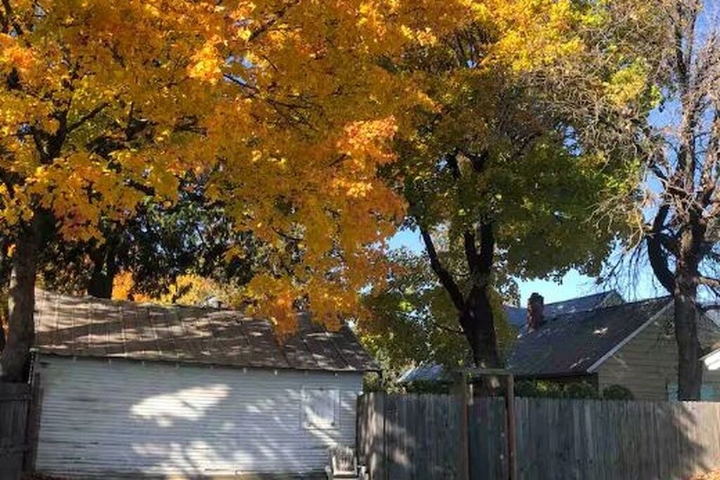 Photo of Outdoor in Sandpoint