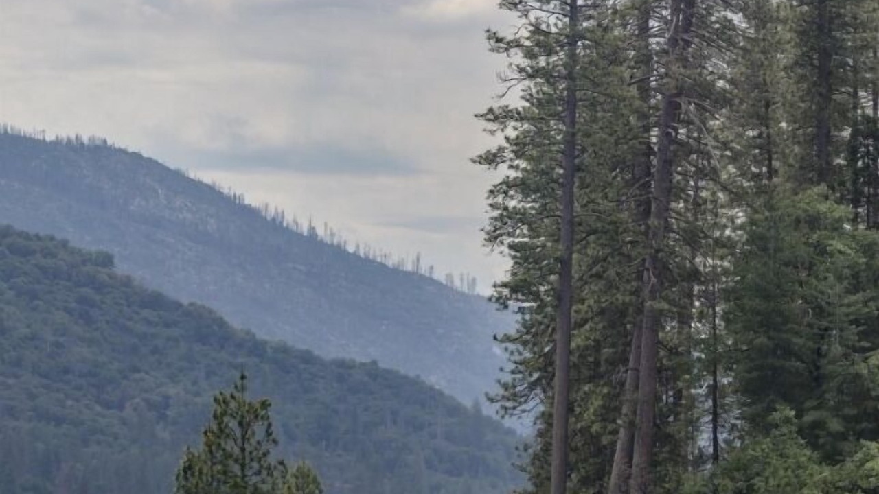 Photo of Others in Coeur d'Alene