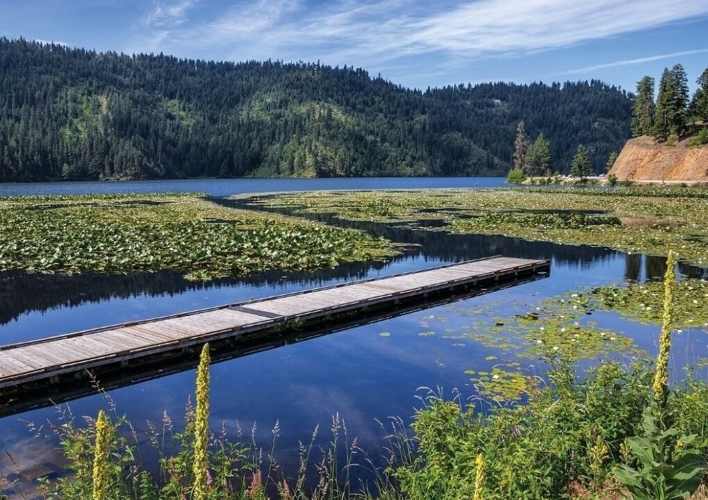 Photo of Others in Coeur d'Alene