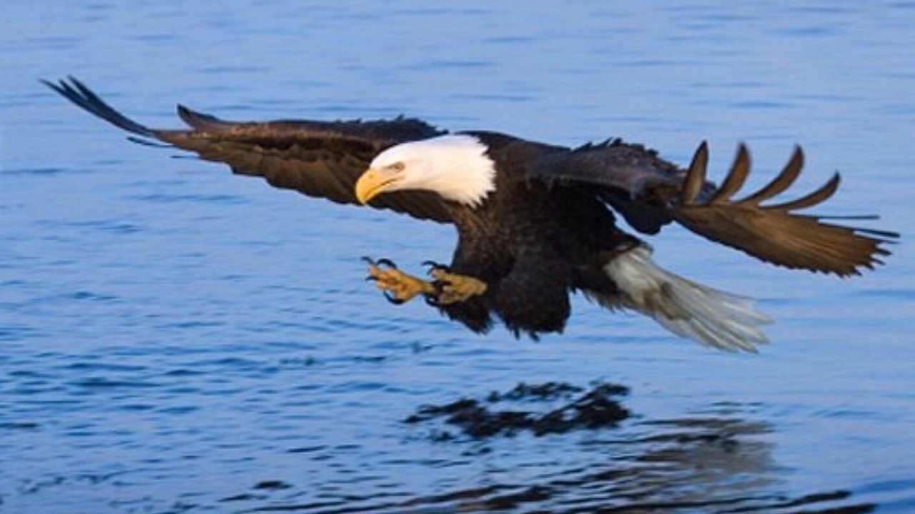 Photo of Others in Coeur d'Alene